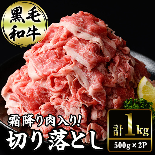 切り落とし和牛(500g×2P) 国産 宮崎県産 黒毛和牛 牛肉 こま切れ 小間切れ 炒めもの 霜降り 和牛 【AR011】【(有)有田牧畜産業 食肉加工センター】
