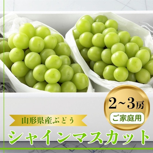 ぶどう（シャインマスカット）２～３房　ご家庭用　0060-2611