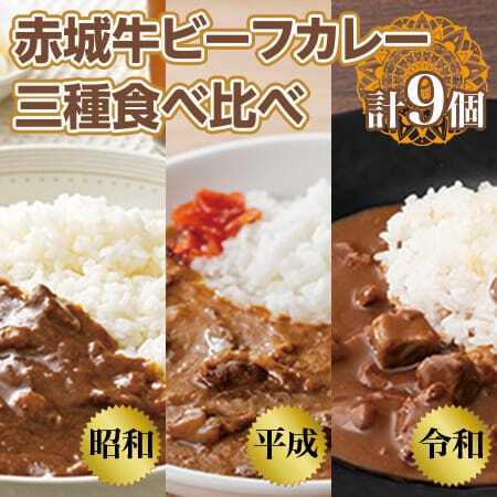 【赤城牛 ビーフカレー】三種食べ比べ（計9個） 昭和・平成・令和のビーフカレー カレー レトルト