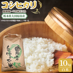 【令和7年産 】栃木県 大田原市産 コシヒカリ 白米 10kg ｜コメ お米 銘柄米 農家直送 産地直送 産直 数量限定