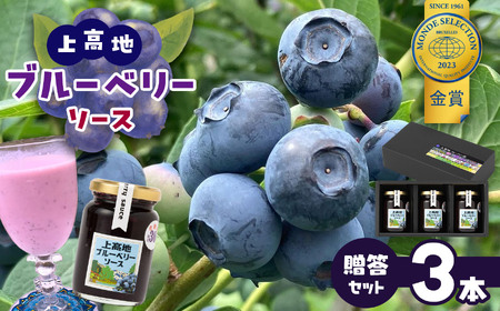 上高地ブルーベリーソース　贈答3本セット