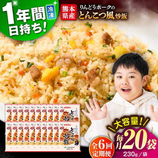 【全6回定期便】こだわり炒飯 とんこつ風炒飯 合計4.6kg 冷凍食品 炒飯 [BHCS034]