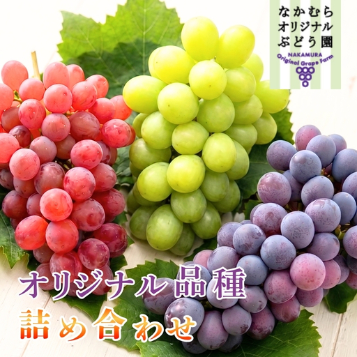 ぶどう詰め合わせ ここにしかないオリジナル品種 おまかせ詰め合わせ 皮ごと食べられるぶどう1種＋オリジナル2種合計約1.8㎏