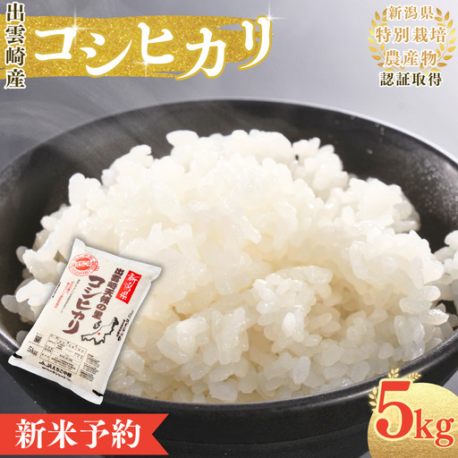 【新米】 新潟産 コシヒカリ 5㎏  出雲崎町産 「天領の里」 令和8年産 | コシヒカリ 新潟県 出雲崎町