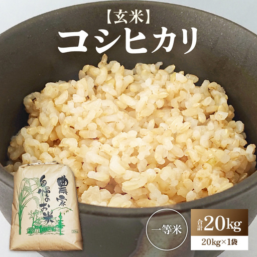 [先行予約][令和8年産・新米]コシヒカリ 玄米 20kg / コシヒカリ 米 こしひかり[2026年9月下旬より順次発送予定] [aw096-d004]