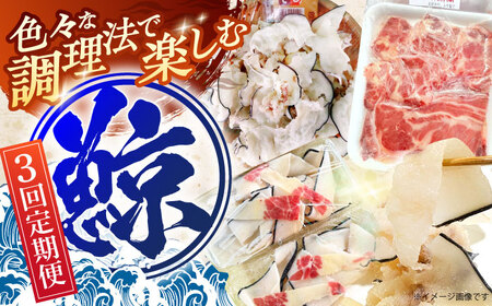 【3回定期便】調理用部位定期便（煮しめ鯨・炙り用脂筋肉スライス・特上ゆかけ鯨（畝））[OBR018]