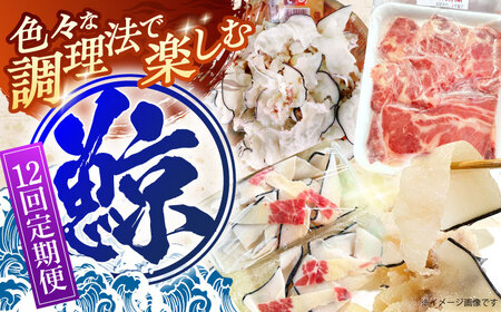 【12回定期便】調理用部位定期便（煮しめ鯨・炙り用脂筋肉スライス・特上ゆかけ鯨（畝））[OBR020]