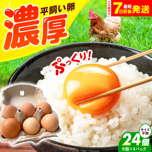 平飼い卵 24個 ベジ彩ファーム[AOEJ003] たまご