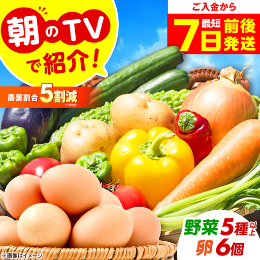 旬のお野菜&平飼い卵セット ベジ彩ファーム[AOEJ004] 野菜セット