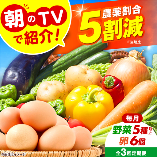 [全3回定期便] 米ぬかで育てた!旬のお野菜&平飼い卵セット ベジ彩ファーム[AOEJ005] 野菜