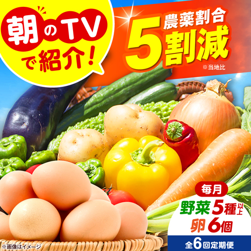 【全6回定期便】 米ぬかで育てた！旬のお野菜＆平飼い卵セット ベジ彩ファーム[AOEJ006] 野菜