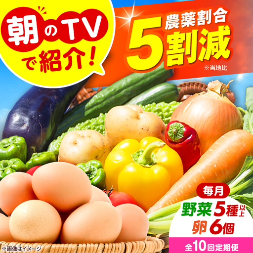 【全10回定期便】 米ぬかで育てた！旬のお野菜＆平飼い卵セット ベジ彩ファーム[AOEJ007] 野菜定期便