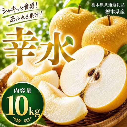 【2027年先行予約】幸水 約10kg  | 【栃木県共通返礼品】梨 なし ナシ 新品種 先行予約 大粒 新鮮 甘い 美味しい 果物 くだもの フルーツ ふるーつ 共通返礼品 フルーツ デザート 栃木県 那珂川町