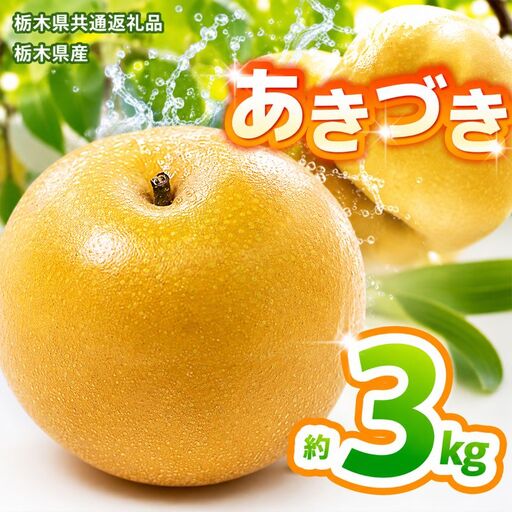 【2027年先行予約】あきづき 約3kg |【栃木県共通返礼品】あきづき 梨 なし ナシ 新品種 先行予約 大粒 新鮮 甘い 美味しい 果物 くだもの フルーツ ふるーつ 共通返礼品 フルーツ デザート 栃木県 那珂川町