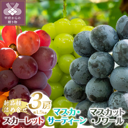 【2026年発送分】植原葡萄研究所の特選房選り詰め合せ
