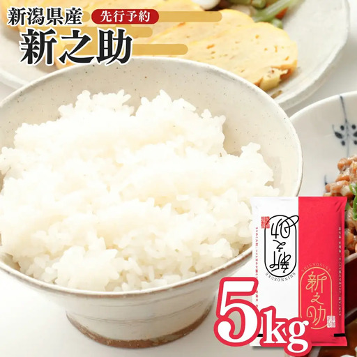 先行予約 新之助 5kg×1袋 令和8年 新潟県産 精米 三条市 新之助