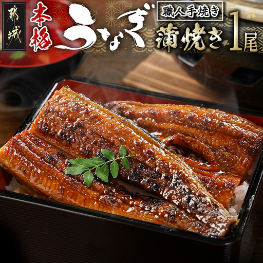 職人手焼きの本格うなぎ蒲焼き1尾〔LG8-33-003-1〕_(都城市) 鰻蒲焼 1尾 (総重量150g以上) タレ付き (30ml×1個) 国産うなぎの蒲焼き 特製たれ付き 冷凍 ウナギ かば焼き うなぎ