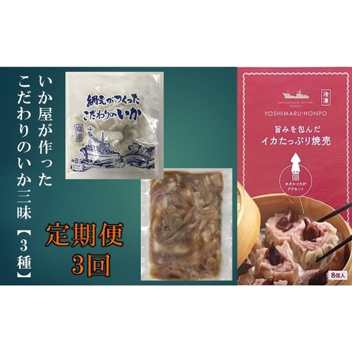 ＜定期便3回＞ いか屋が作ったこだわりのいか三昧(3種)