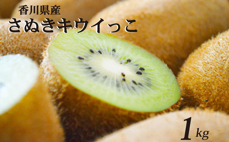 【11月上旬から12月下旬の間で順次発送】 一口サイズ！ さぬきキウイっこ 約1kg  キウイ 【goshiki027】