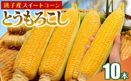 【先行予約】 とうもろこし 10本 とうもろこし