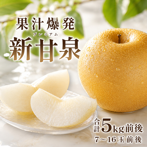 プレミアム新甘泉　5kg前後【梨 赤梨 新甘泉 しんかんせん 5kg 先行予約 期間限定 数量限定 なし ナシ 果物 くだもの フルーツ 旬 高糖度 甘い 贈り物 ギフト お取り寄せ 産地直送 鳥取県】