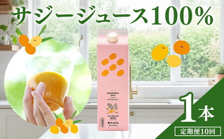 【定期便10カ月】サジー グアマラルサジー 1000ml　毎月1本10カ月コース｜サジージュース サジー シーベリー 沙棘 グアマラル 健康ドリンク 健康 美容 栄養 果汁 鉄分補給 栄養補給 健康食品 _DX29