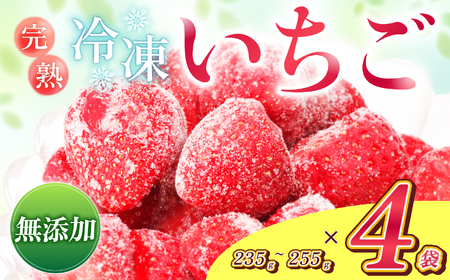南信州産 冷凍 アルプス イチゴ 235g 〜 255g × 4袋 | 長野県 飯田市