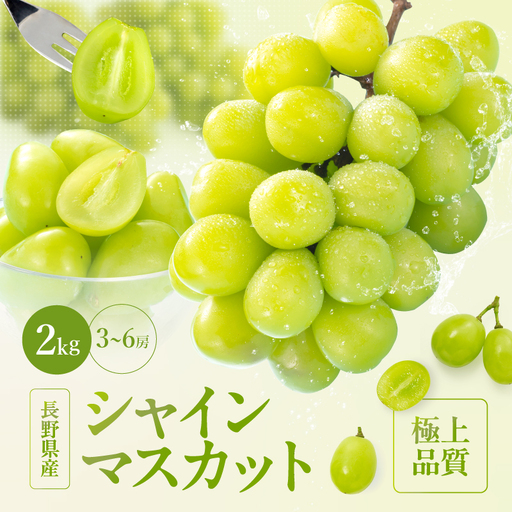 長野県産 シャインマスカット 秀品 約2kg〈2026年9月下旬～11月上旬発送〉| 長野県 飯田市