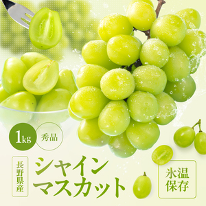 氷温貯蔵 長野県産 シャインマスカット 約1kg 秀品 [2026年11月上旬〜12月下旬発送]| 長野県 飯田市