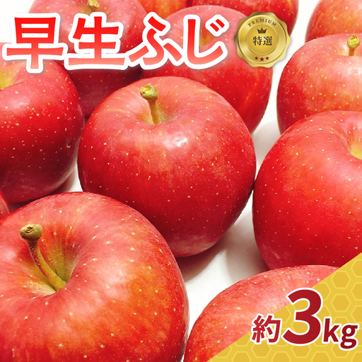 [2026年10月発送] りんご 約3kg 早生ふじ [特選] 青森県産 りんご
