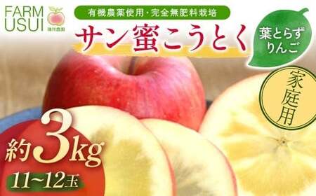 家庭用 有機農薬使用・完全無肥料栽培「サン蜜こうとく」葉とらずりんご約3kg（11～12玉） F7X-0877