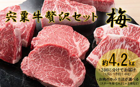 F10 宍粟牛 贅沢 セット[梅:4.2Kg][ ステーキ しゃぶしゃぶ 定期発送 冷蔵発送 宍粟牛 国産和牛 黒毛和牛 国産 3年肥育 牛肉 御中元 贈り物 BBQ キャンプ ご褒美]