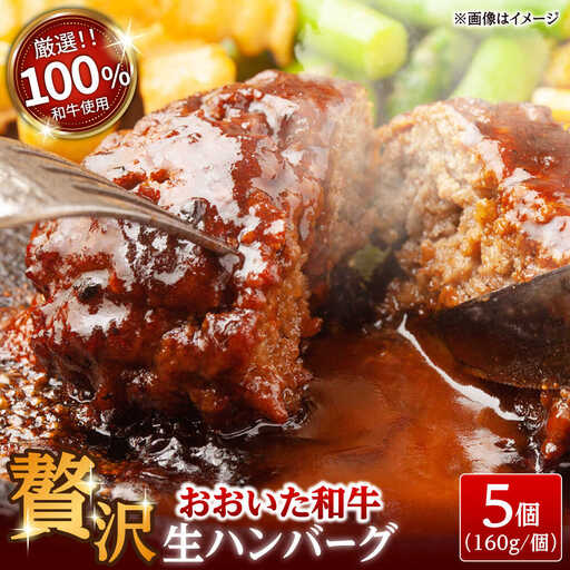 【最短1週間以内発送】おおいた和牛100% 生ハンバーグ 160g×5個 日田市 牛肉 ハンバーグ [ARFE003]