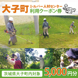 【大子町内限定】大子町シルバー人材センター　利用クーポン券　5,000円分｜利用券 チケット 補助 代行 庭 空き地 草刈り 除草 お墓 清掃 家 片付け 窓拭き 茨城県(CR001)