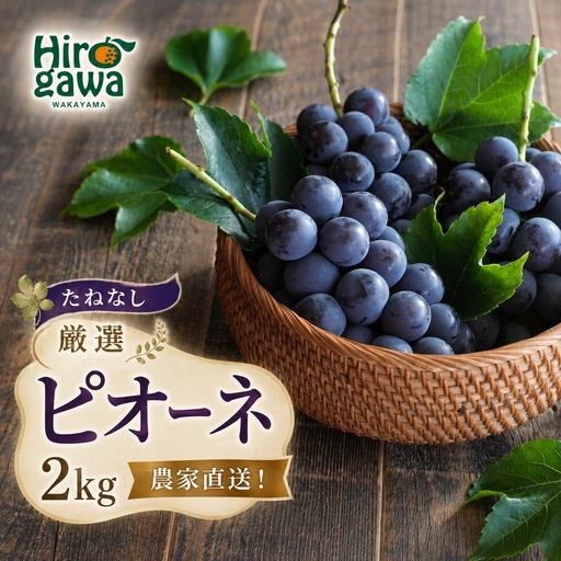 ピオーネ たねなし 2kg 厳選 / ぶどう 種無し 甘い 高級 和歌山 ※2026年8月中旬～9月中旬に順次発送 ※北海道・沖縄・離島への配送不可 【tec511-p-2B】