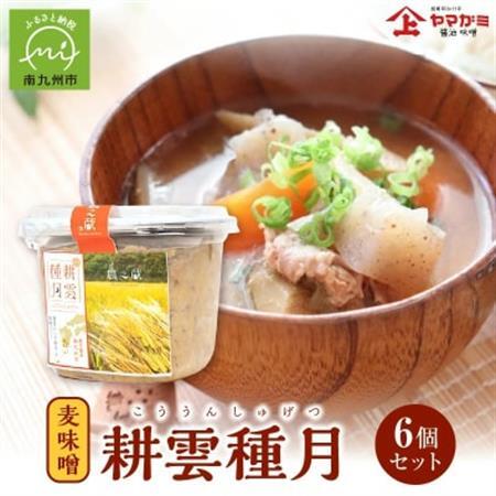 ヤマガミ「耕雲種月」味噌6個セット【1186223】