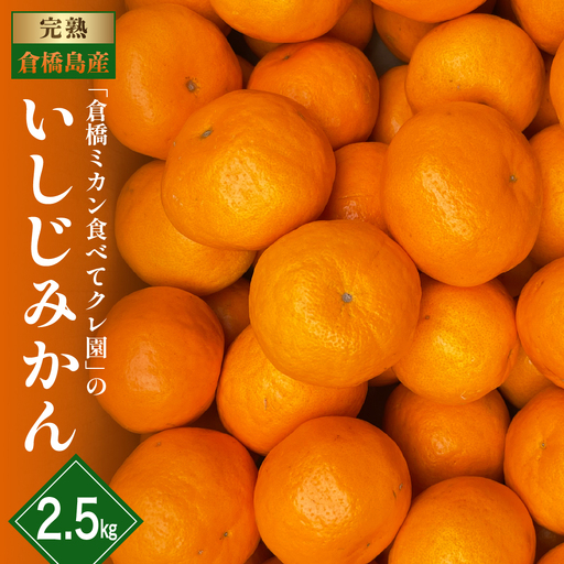 【先行受付】【2026年12月～発送】倉橋ミカン食べてクレ園 いしじみかん 約2.5kg