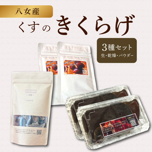くすのきくらげ ３種セット(生きくらげ・乾燥きくらげ・パウダーきくらげ） 国産 八女産 肉厚 食物繊維 ビタミンD 腸活 美容食 栄養 コリコリ 小分け 使い切り 炒め物 スープ ラーメン 中華 福岡県 八女市 196-001