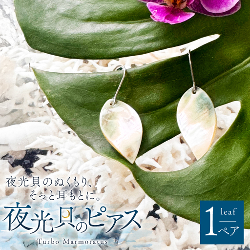 ピアス 夜光貝のピアス リーフ 1ペア