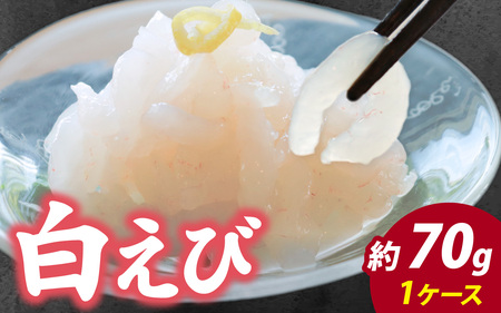 白エビ 刺身 約70g 1ケース | 白エビ