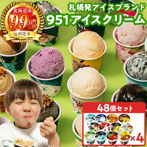 951アイスクリーム　48個セット　北海道　アイス　スイーツ