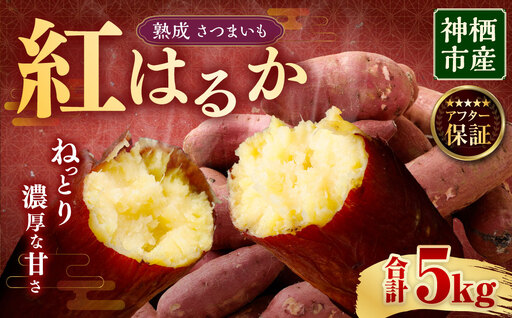 “熟成” 茨城県産 神栖市産 さつまいも 【 紅はるか 】 約5kg 芋 いも サツマイモ 野菜 やさい 国産 
