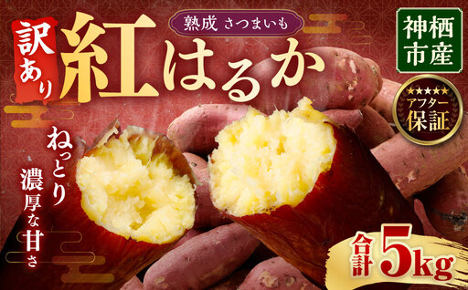 【 訳あり 】“熟成” 茨城県産 神栖市産 さつまいも 【 紅はるか 】 約5kg 芋 いも サツマイモ 野菜 やさい 国産 