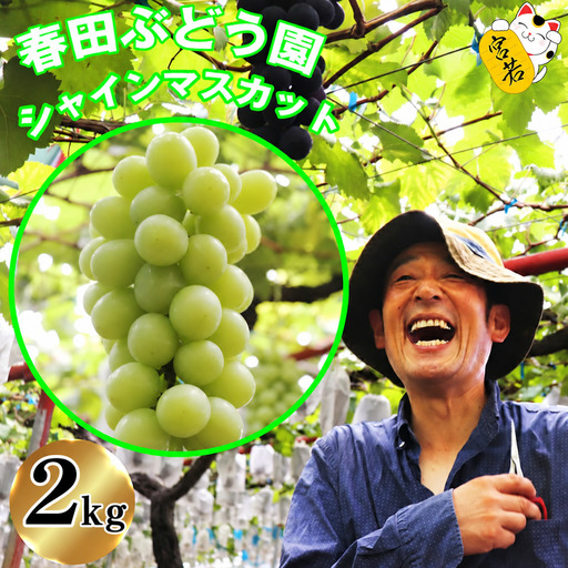 〈春田ぶどう園〉 【随時～9月末まで順次発送】春田ぶどう園直送！【シャインマスカット2kg】[M167-3] 果物 果汁 ぶどう 高級 福岡 フルーツ 甘い 福岡県 宮若市 送料無料
