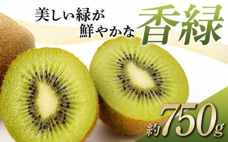 [先行予約][2026年12月〜2027年3月頃お届け] キウイ 美しい緑が鮮やかな 香緑 こうりょく 約750g 国産 香川 果物 キュウイ キューイ フルーツ 旬 香川県 香川県共通返礼品