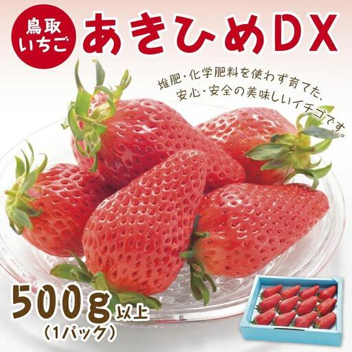 あきひめDX 500g 鳥取いちご【とみハウス】