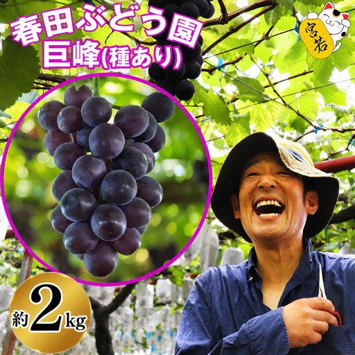 〈春田ぶどう園〉 【随時～9月末まで順次発送】春田ぶどう園直送【巨峰2kg】 [M90-6] 果物 果汁 ぶどう 高級 福岡 フルーツ 甘い 福岡県 宮若市 送料無料