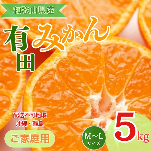 【先行予約】【ご家庭用】和歌山有田みかん約5kg(M、Lサイズ)【美浜町】 ｜ みかん 