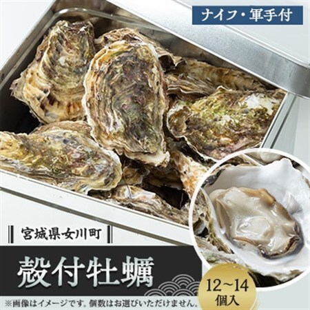 潮香焼セット(殻付き牡蠣・カンカン焼き)ナイフ・軍手入り【配送不可地域：離島・沖縄県・九州】【1312854】
