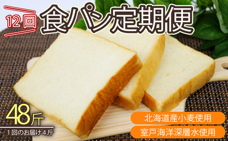 12回 定期便 食パン 海洋深層水食パン 4斤 [ロマンド 高知県 rm008]